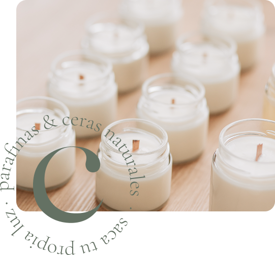 variedad productos naturcera